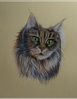 Polychromos A3