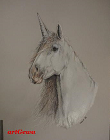 Polychromos A3