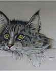 POLYCHROMOS A3