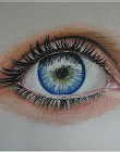 POLYCHROMOS A3