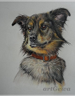 Polychromos A3