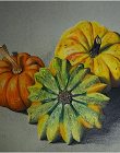 Polychromos A4