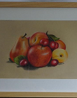 Polychromos A4