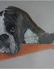 Polychromos A3
