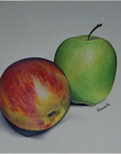 Polychromos A4
